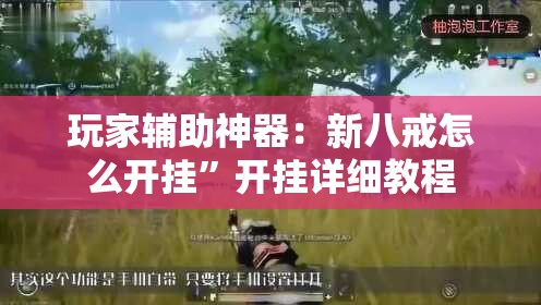 玩家辅助神器：新八戒怎么开挂	”开挂详细教程