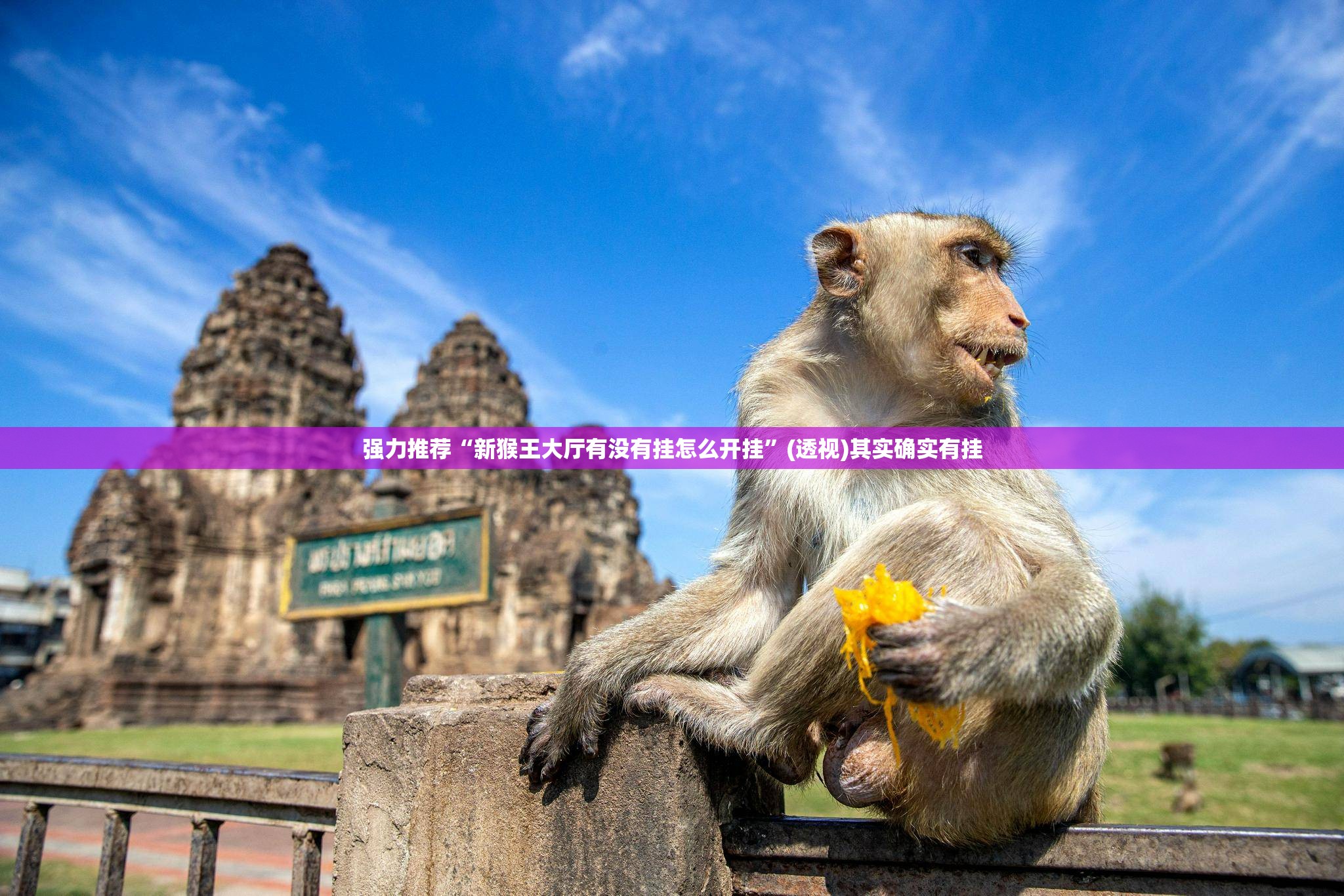 强力推荐“新猴王大厅有没有挂怎么开挂”(透视)其实确实有挂