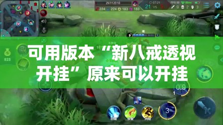 可用版本“新八戒透视开挂	”原来可以开挂