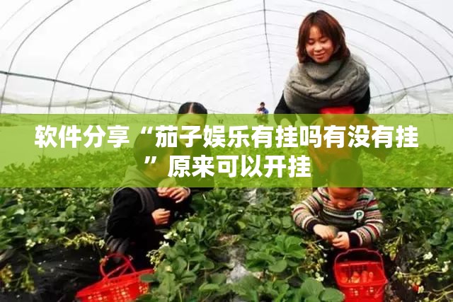 软件分享“茄子娱乐有挂吗有没有挂”原来可以开挂