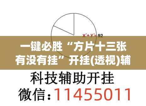 一键必胜“方片十三张有没有挂”开挂(透视)辅助神器