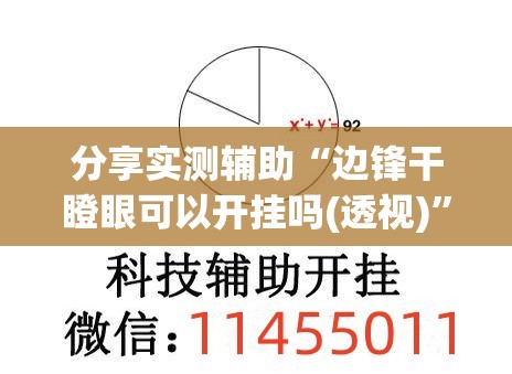 分享实测辅助“边锋干瞪眼可以开挂吗(透视)”开挂辅助脚本+详细开挂安装教程