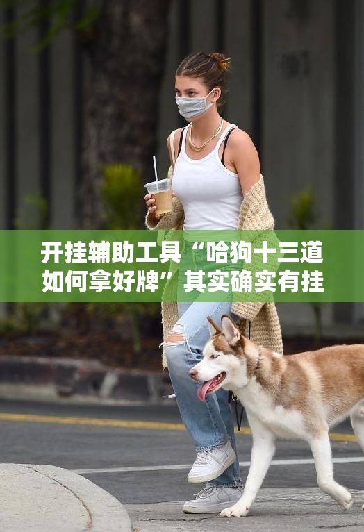 开挂辅助工具“哈狗十三道如何拿好牌	”其实确实有挂