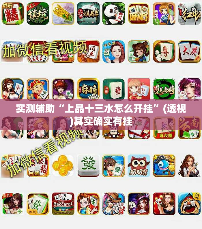 实测辅助“上品十三水怎么开挂”(透视)其实确实有挂