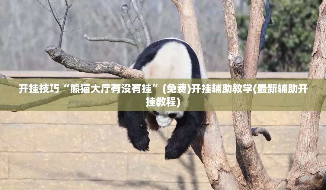 开挂技巧“熊猫大厅有没有挂”(免费)开挂辅助教学(最新辅助开挂教程)