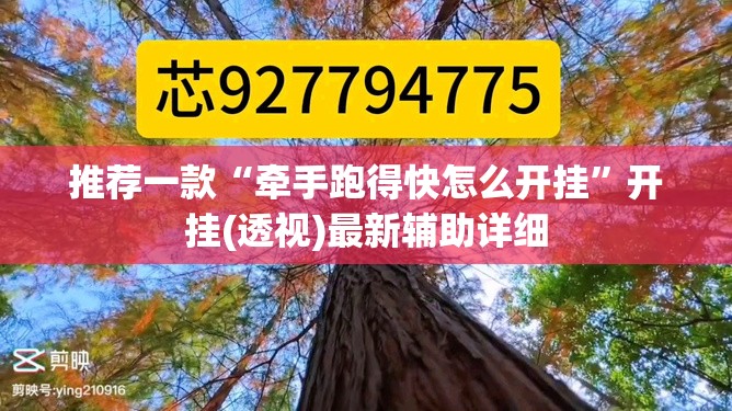 推荐一款“牵手跑得快怎么开挂”开挂(透视)最新辅助详细