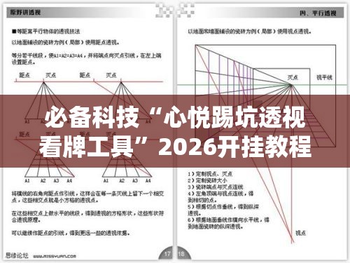 必备科技“心悦踢坑透视看牌工具”2026开挂教程步骤
