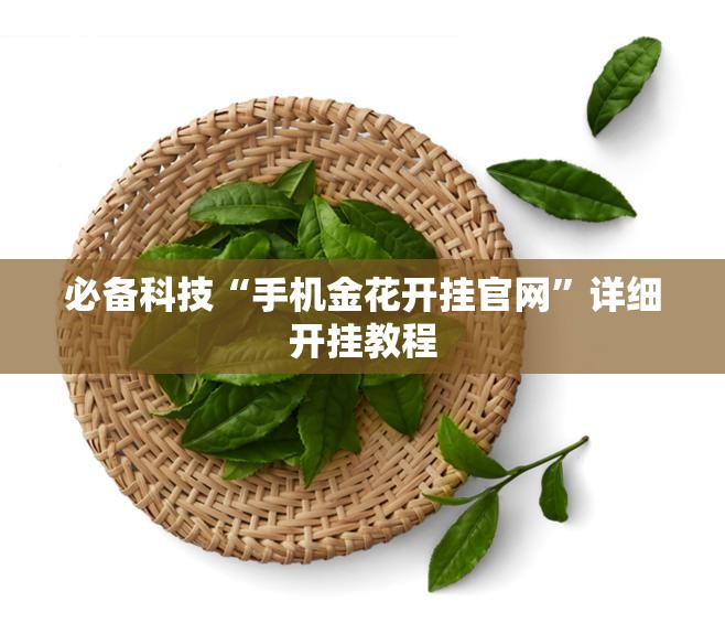 必备科技“手机金花开挂官网”详细开挂教程