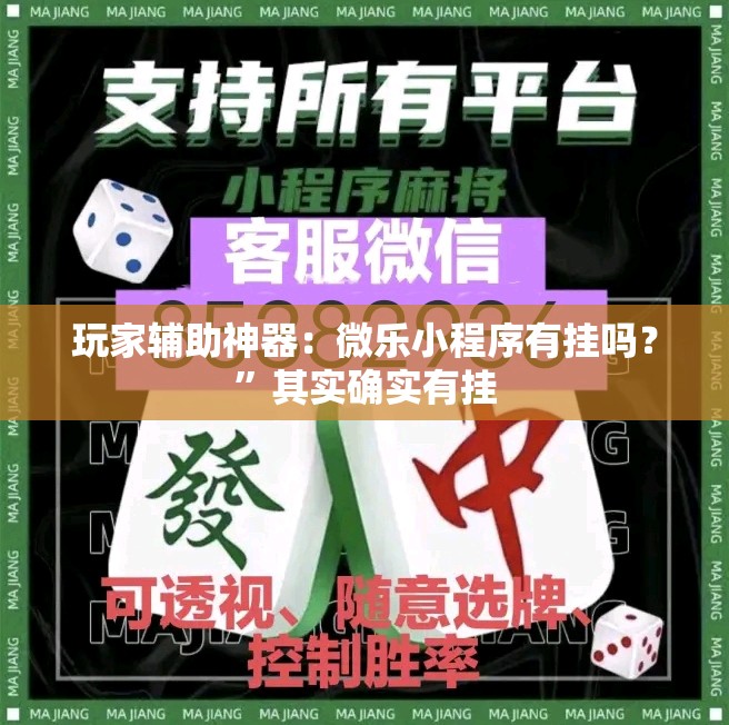 玩家辅助神器：微乐小程序有挂吗？”其实确实有挂