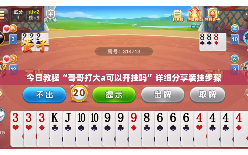 今日教程“哥哥打大a可以开挂吗	”详细分享装挂步骤