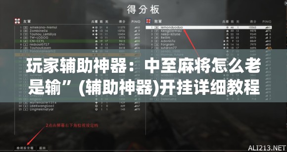 玩家辅助神器：中至麻将怎么老是输”(辅助神器)开挂详细教程