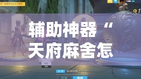 辅助神器“天府麻舍怎么开挂”原来可以开挂