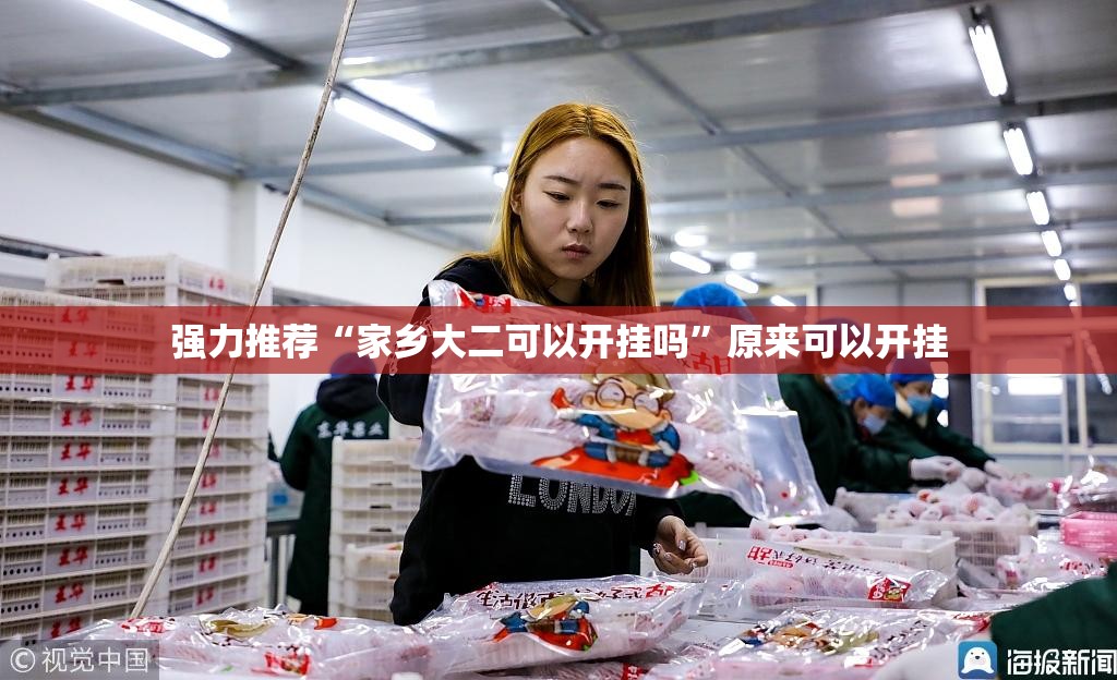 强力推荐“家乡大二可以开挂吗”原来可以开挂