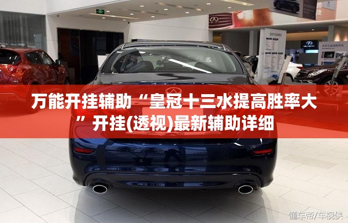 万能开挂辅助“皇冠十三水提高胜率大”开挂(透视)最新辅助详细