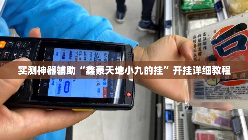 实测神器辅助“鑫豪天地小九的挂”开挂详细教程