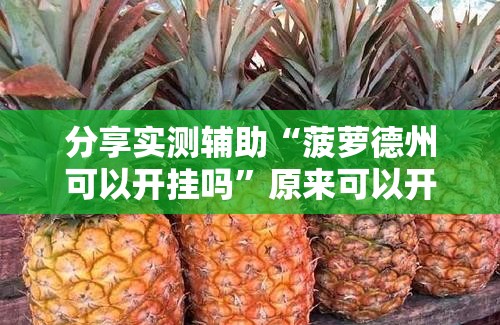 分享实测辅助“菠萝德州可以开挂吗”原来可以开挂