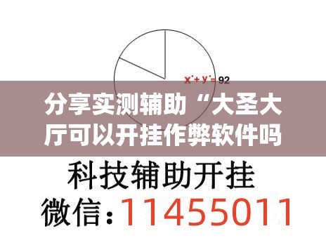 分享实测辅助“大圣大厅可以开挂作弊软件吗(透视)	”开挂辅助脚本+详细开挂安装教程
