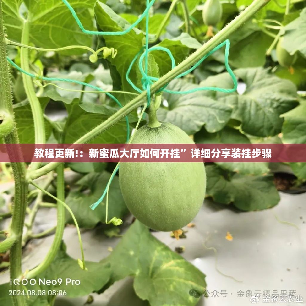 教程更新!：新蜜瓜大厅如何开挂	”详细分享装挂步骤