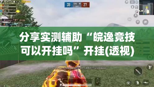 分享实测辅助“皖逸竞技可以开挂吗”开挂(透视)辅助神器