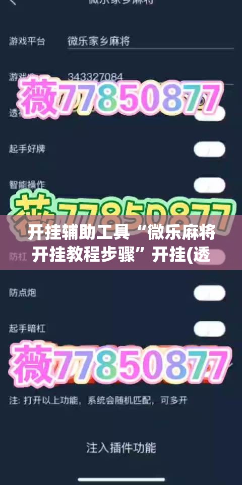 开挂辅助工具“微乐麻将开挂教程步骤”开挂(透视)最新辅助详细