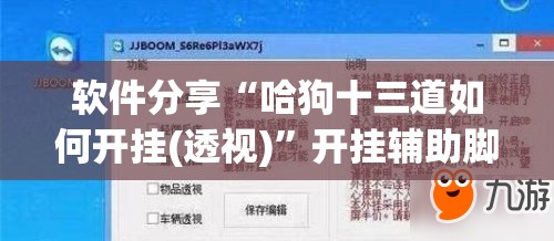 软件分享“哈狗十三道如何开挂(透视)”开挂辅助脚本+详细开挂安装教程