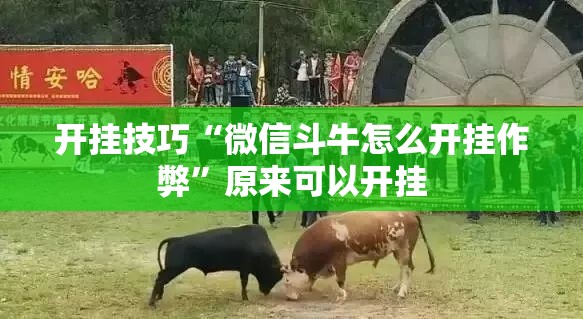 开挂技巧“微信斗牛怎么开挂作弊”原来可以开挂