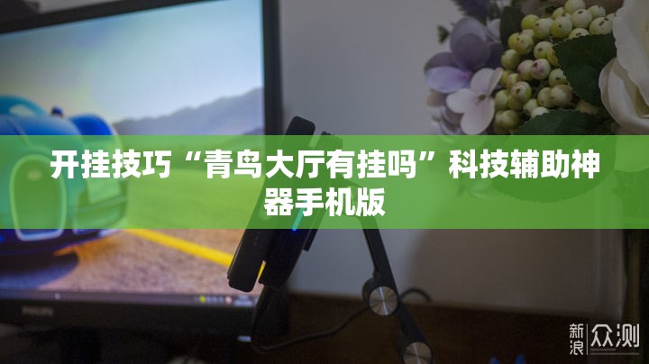 开挂技巧“青鸟大厅有挂吗”科技辅助神器手机版