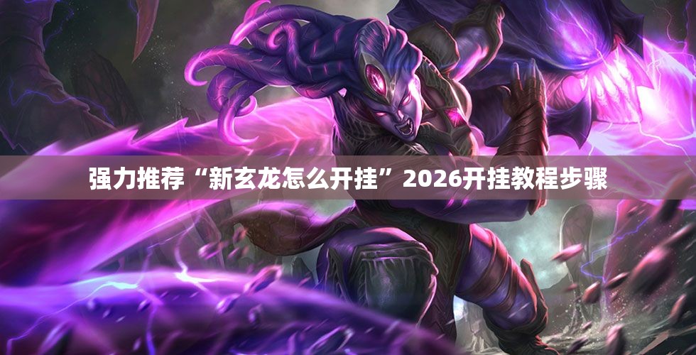 强力推荐“新玄龙怎么开挂”2026开挂教程步骤