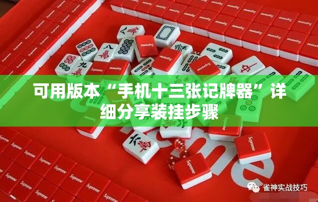 可用版本“手机十三张记牌器	”详细分享装挂步骤