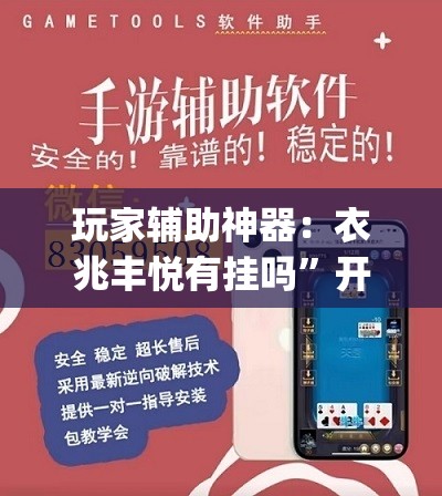 玩家辅助神器：衣兆丰悦有挂吗”开挂(透视)辅助教程