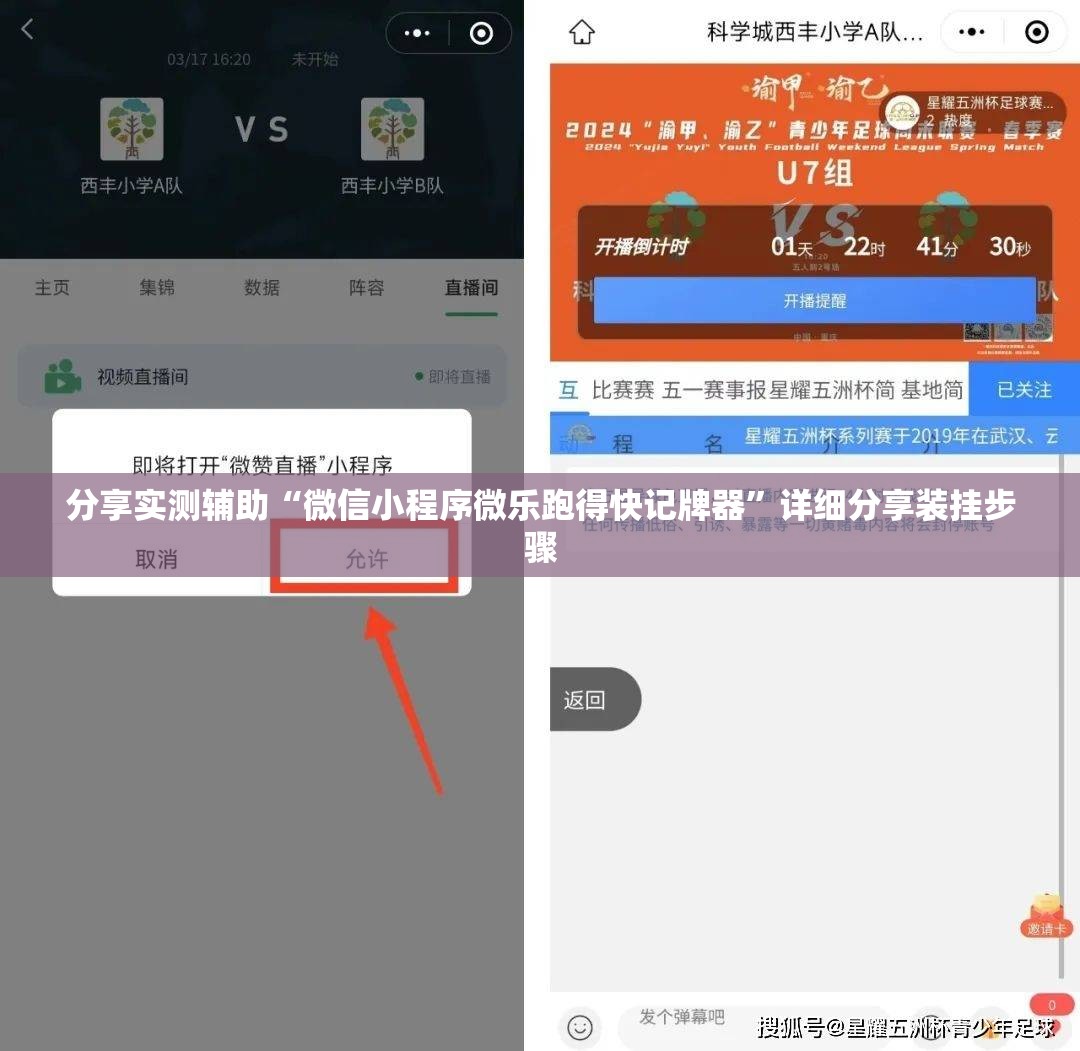 分享实测辅助“微信小程序微乐跑得快记牌器”详细分享装挂步骤