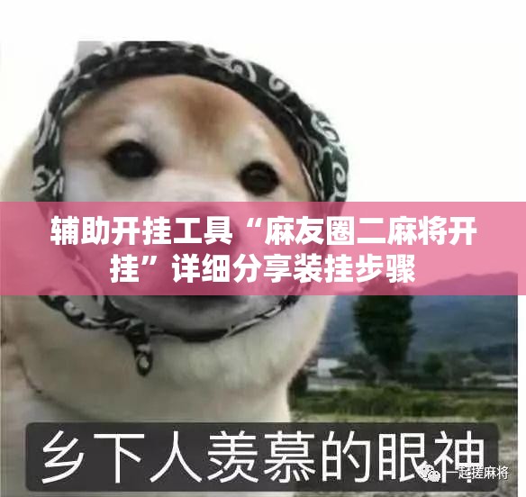 辅助开挂工具“麻友圈二麻将开挂	”详细分享装挂步骤