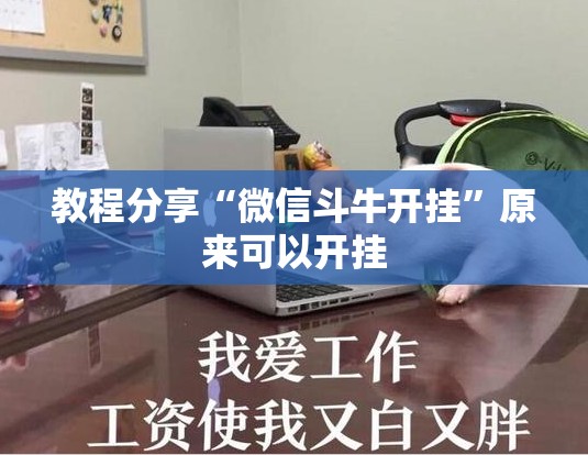 教程分享“微信斗牛开挂”原来可以开挂