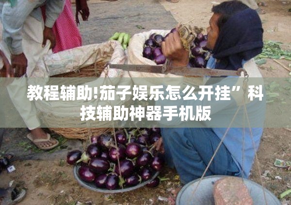 教程辅助!茄子娱乐怎么开挂”科技辅助神器手机版