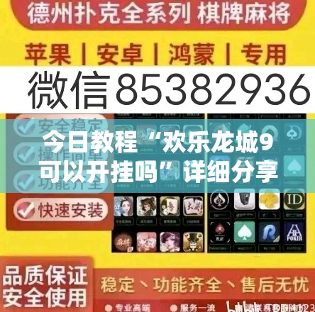 今日教程“欢乐龙城9可以开挂吗	”详细分享装挂步骤