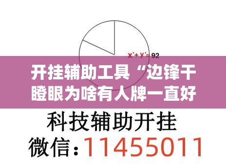 开挂辅助工具“边锋干瞪眼为啥有人牌一直好(透视)”开挂辅助脚本+详细开挂安装教程