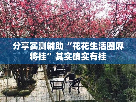 分享实测辅助“花花生活圈麻将挂”其实确实有挂