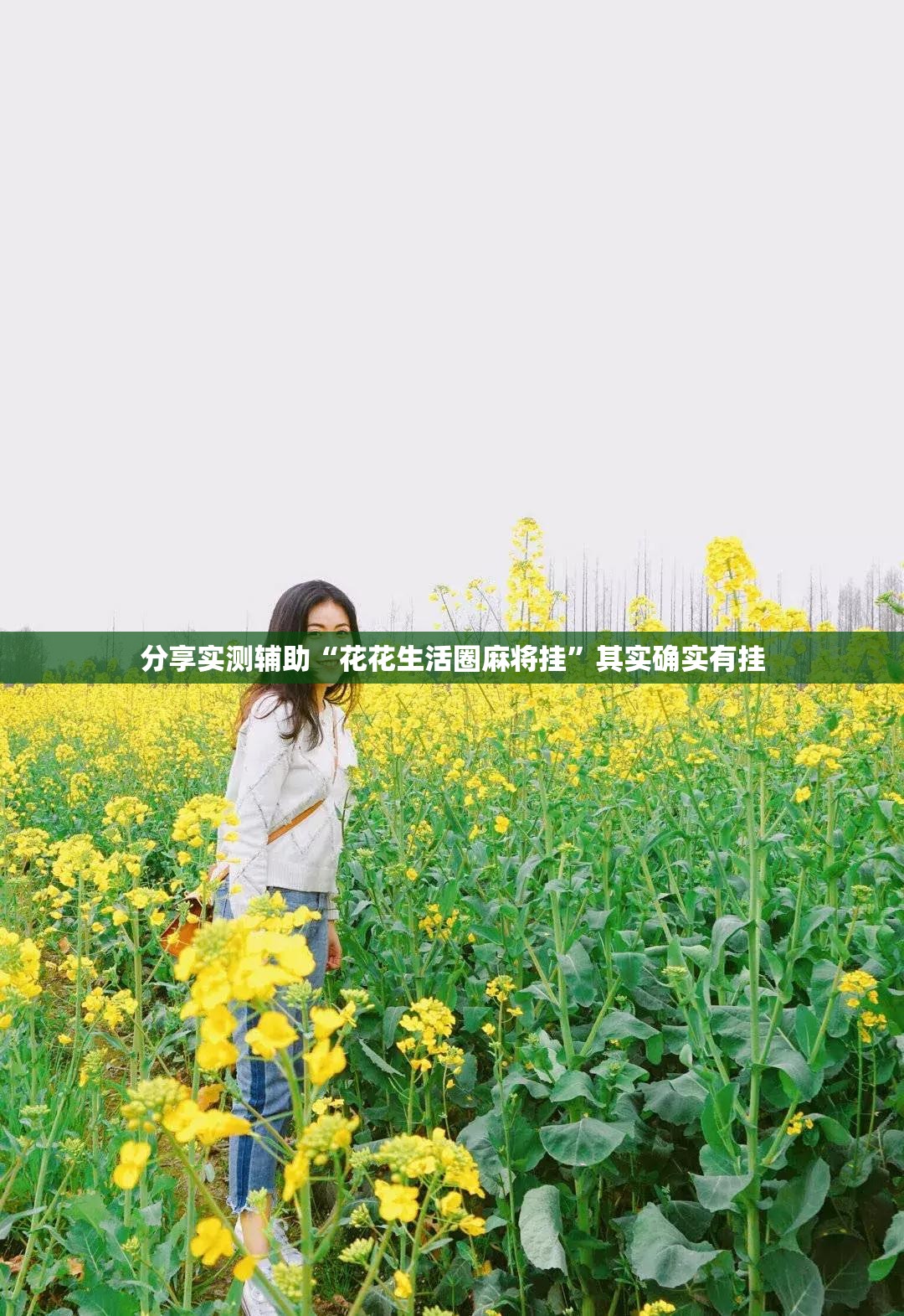 分享实测辅助“花花生活圈麻将挂”其实确实有挂