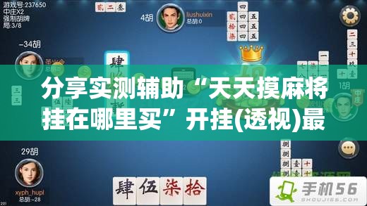 分享实测辅助“天天摸麻将挂在哪里买”开挂(透视)最新辅助详细