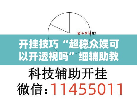 开挂技巧“超稳众娱可以开透视吗”细辅助教程分享