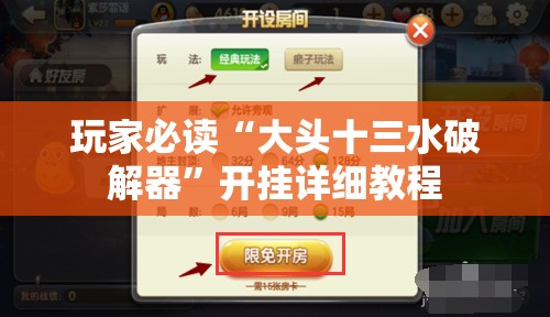 玩家必读“大头十三水破解器”开挂详细教程