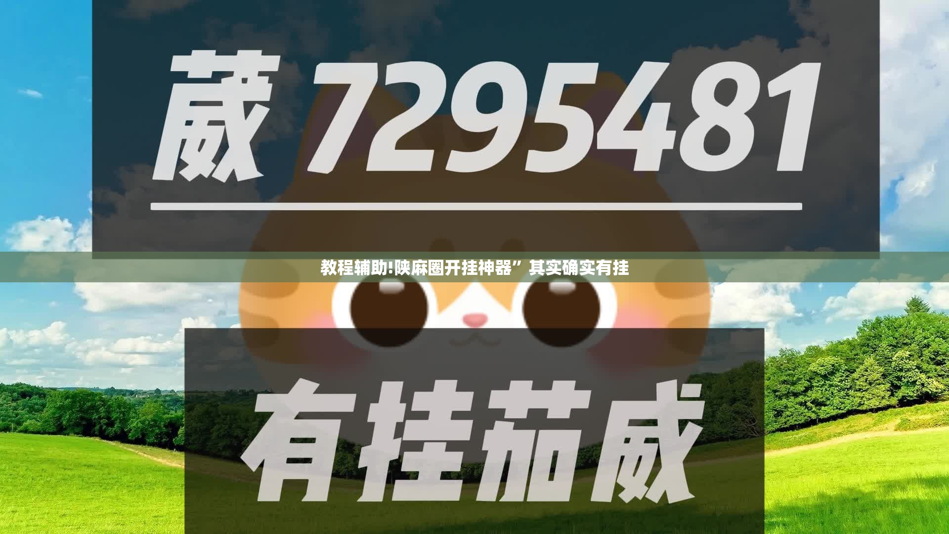 教程辅助!陕麻圈开挂神器”其实确实有挂
