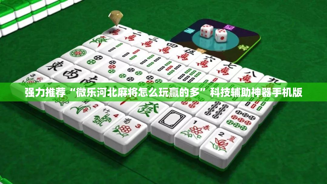 强力推荐“微乐河北麻将怎么玩赢的多”科技辅助神器手机版