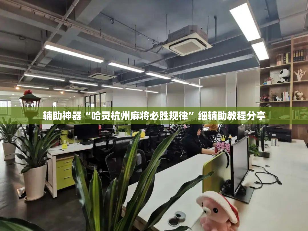辅助神器“哈灵杭州麻将必胜规律”细辅助教程分享