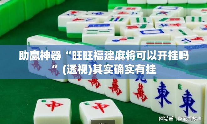 助赢神器“旺旺福建麻将可以开挂吗”(透视)其实确实有挂