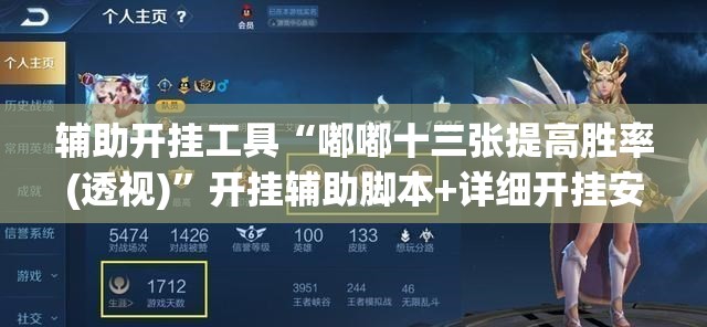 辅助开挂工具“嘟嘟十三张提高胜率(透视)	”开挂辅助脚本+详细开挂安装教程