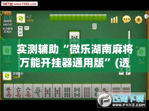 实测辅助“微乐湖南麻将万能开挂器通用版”(透视挂)辅助下载教程