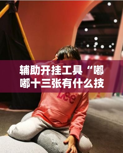 辅助开挂工具“嘟嘟十三张有什么技巧	”原来可以开挂
