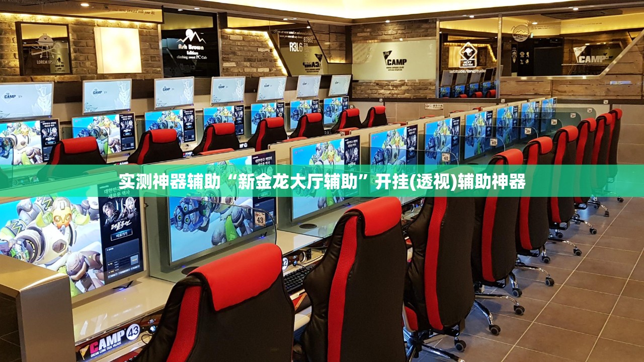 实测神器辅助“新金龙大厅辅助	”开挂(透视)辅助神器