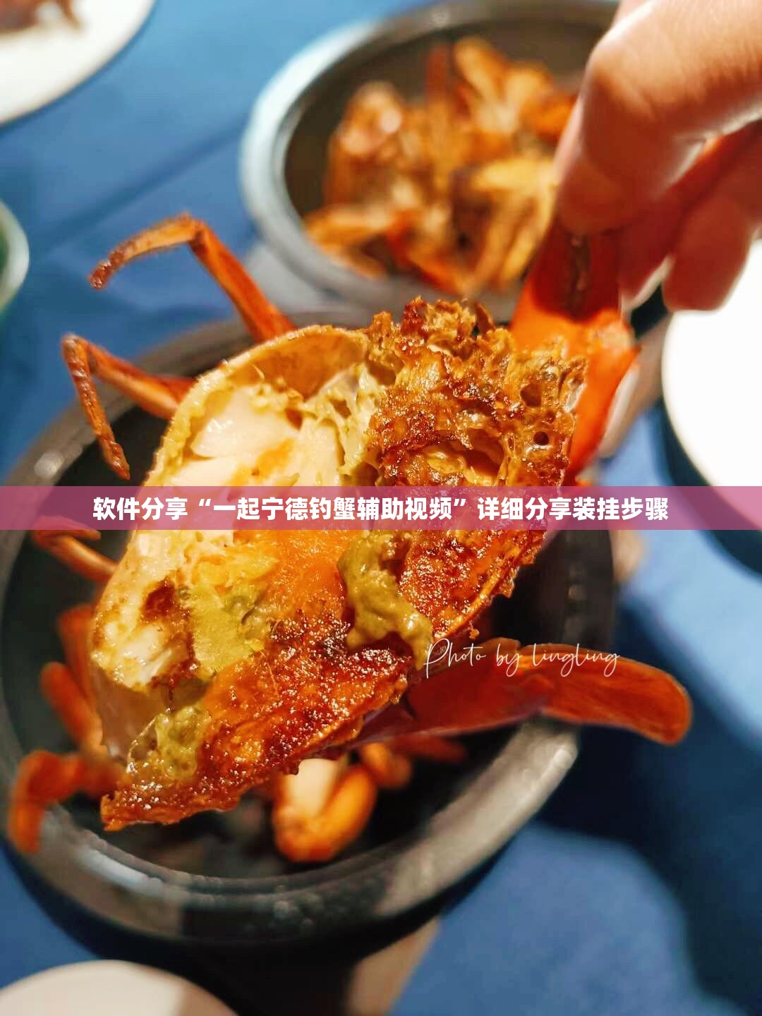 软件分享“一起宁德钓蟹辅助视频	”详细分享装挂步骤